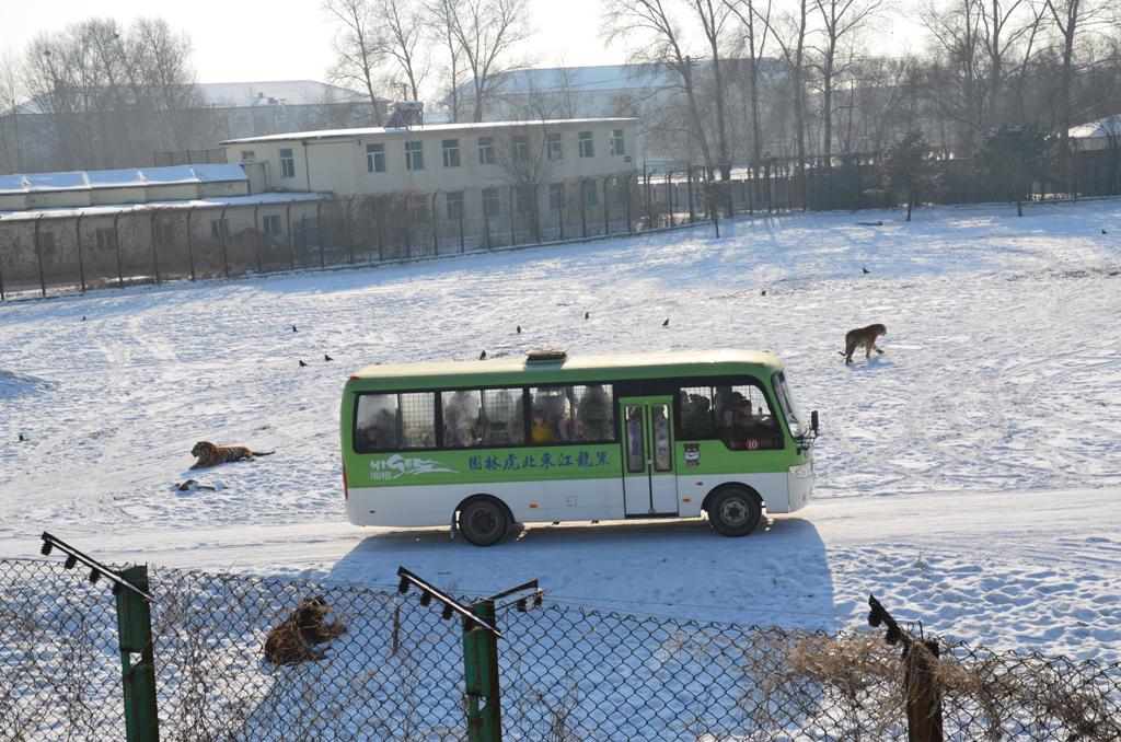 A buszt is korbeveszik, de leginkabb a terepjarobol dobjak ki nekik a kajat