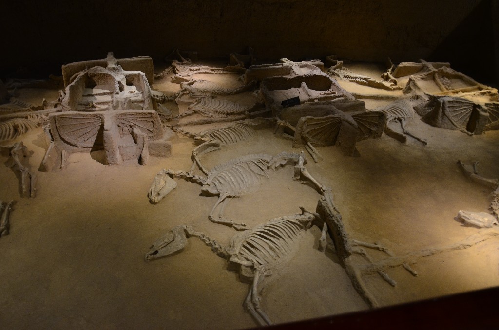 A hat lóval húzott császári hintó maradványát tartják a legfontosabb látványosságnak. Ez az egyetlen helyszín a világon, ahol bemutatják a császár több mint 2200 évvel ezelőtti lovasszekerét.