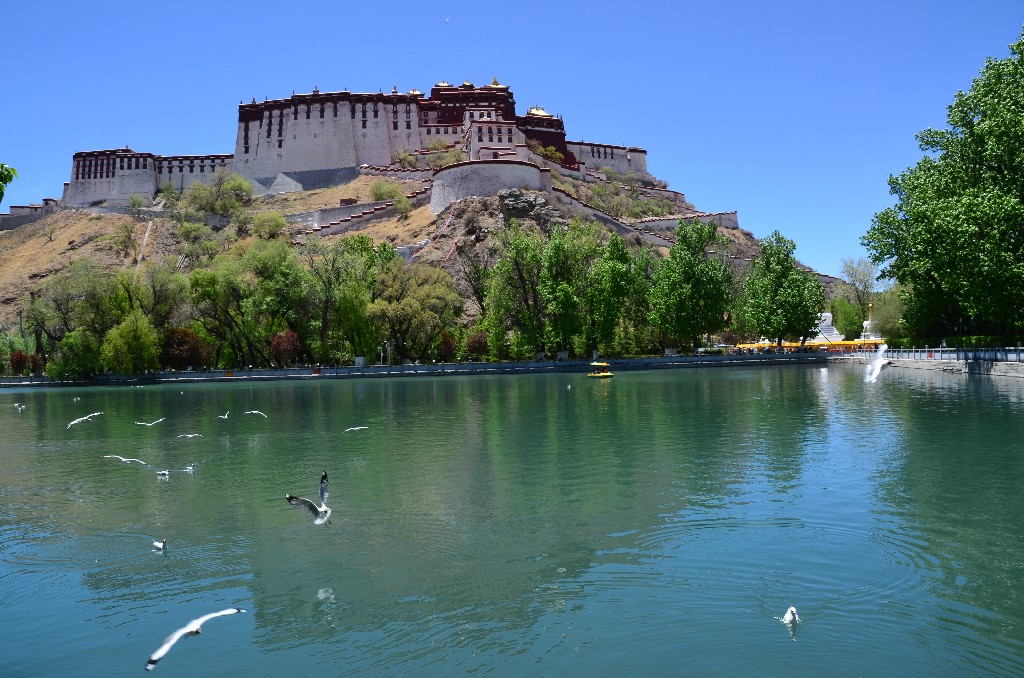 A Potala mögötti parkban közösségi élet folyik, táncolnak, ismerkednek a helyiek. A tavon csónakázni lehet, vagy sirályokat, kacsákat etetni.