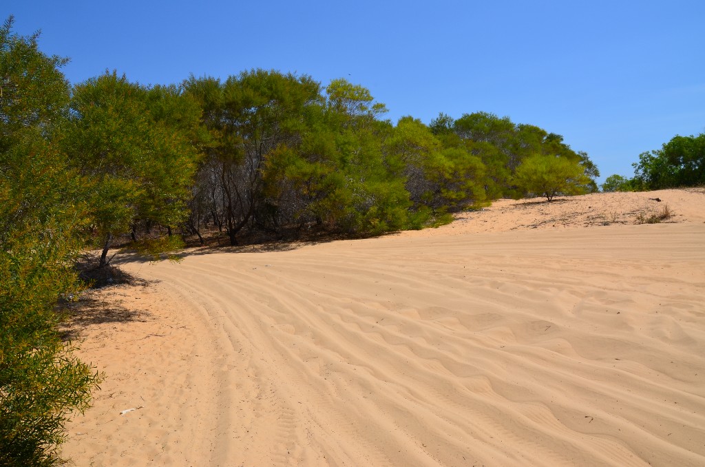 Fehér homokdűnék (Doi Cat Trang)<br />Homok és homok. Minden irányba csak homok. Lépéseim nyomát pár másodperc alatt tűntette el a dűnék között üvöltő szél.