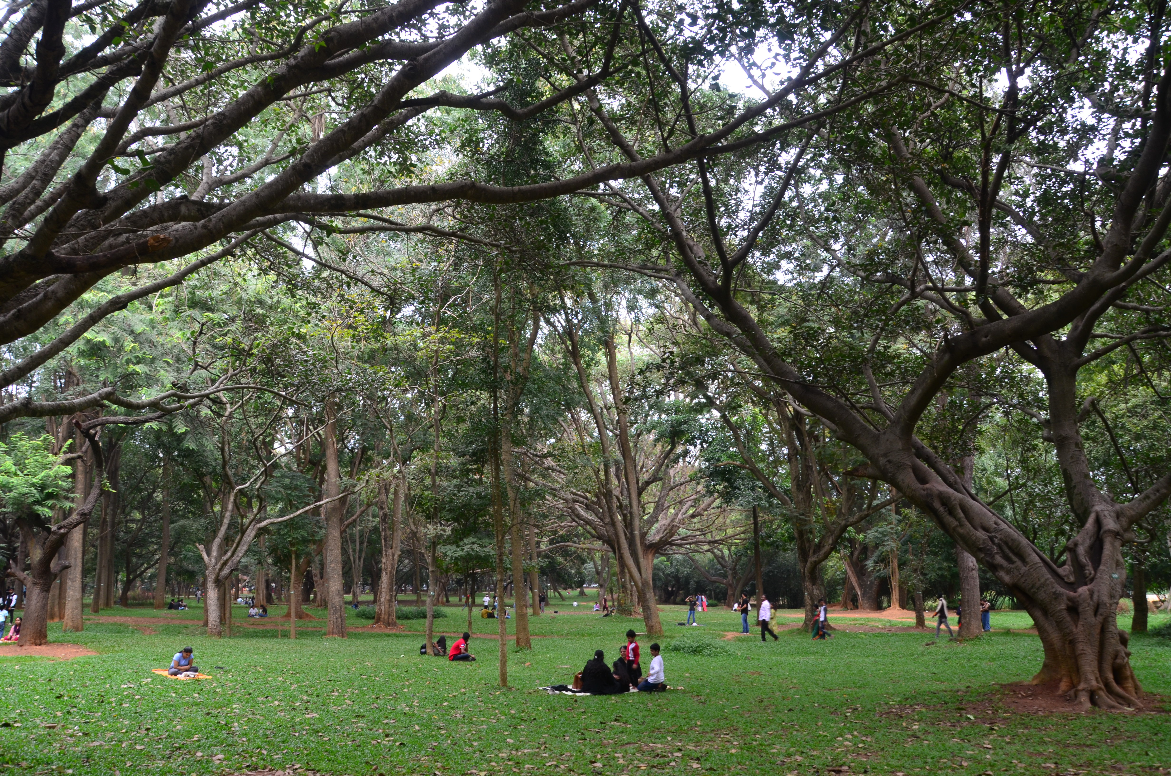 Cubbon park