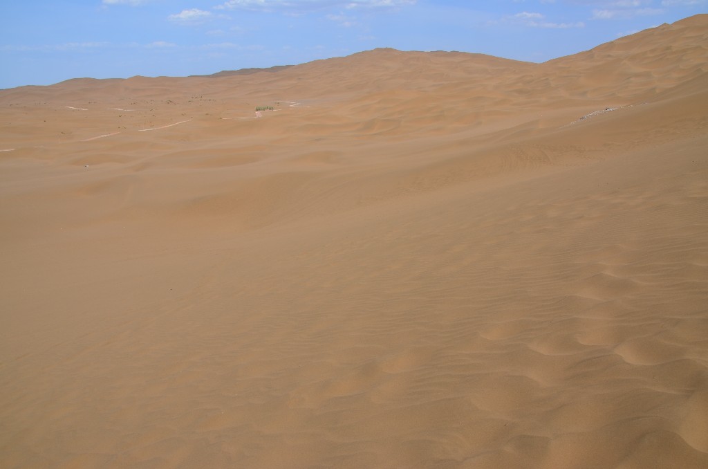 Vannak rács alakú homokdűnék, félhold alakú homokdűnék, méhsejt alakú homokdűnék, piramis alakú homokdűnék, csillag alakú homokdűnék és egyedi, tollszerű dűnék is.
