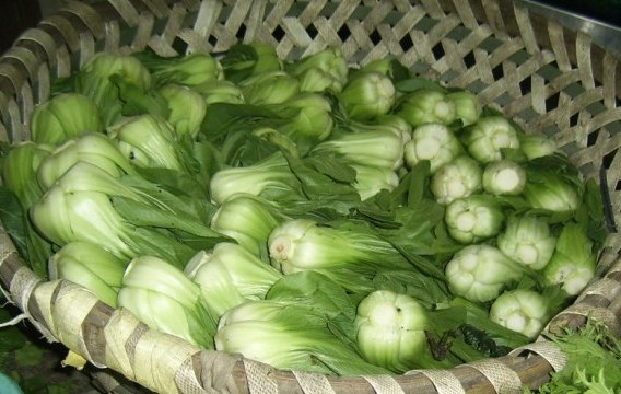 green vegetables_2.JPG