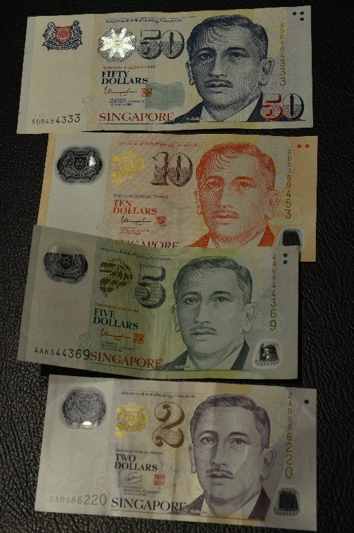 A világon az egyik legmagasabb egy főre jutó GDP-vel büszkélkedő kis államban a nemzeti valuta a szingapúri dollár (SGD). 