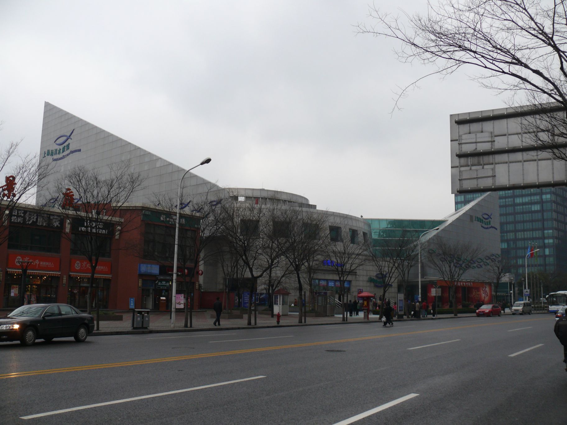 the-shanghai-ocean-aquarium kivulrol.jpg