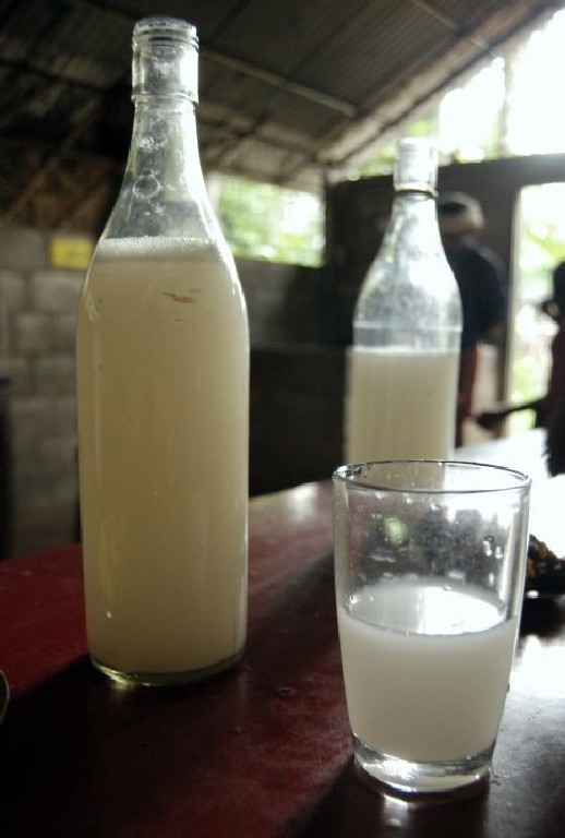 A Kallu vagy Toddy egy egzotikus, erjesztett ital, amelyet kókuszdióból készítenek, kétféle ízvilágban: savanyú és édes. Alkoholtartalma körülbelül 8%.
