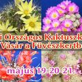 Tavaszi Kaktusz Kiállítás az ELTE Füvészkertben május 19-21-ig