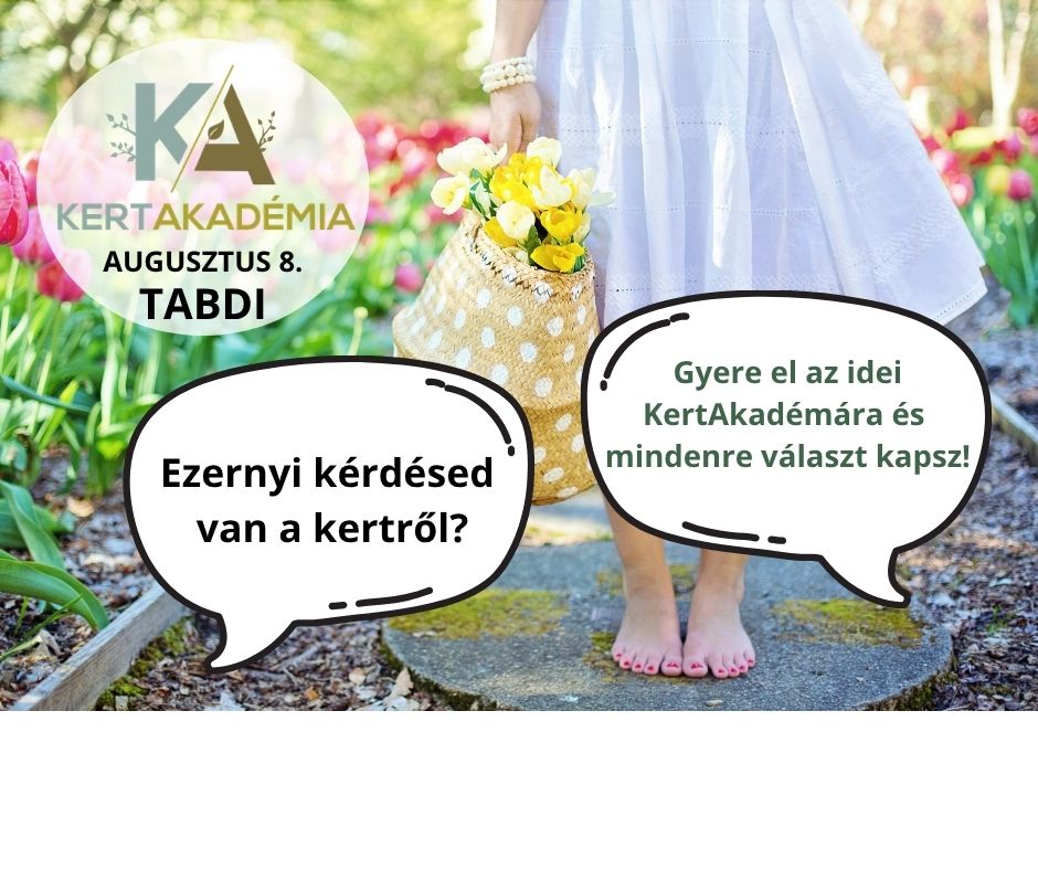 17_8.jpg