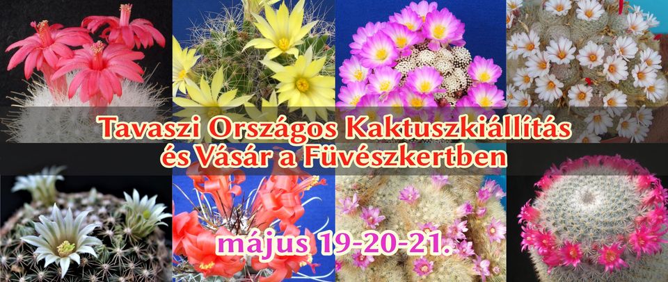 Tavaszi Kaktusz Kiállítás az ELTE Füvészkertben május 19-21-ig