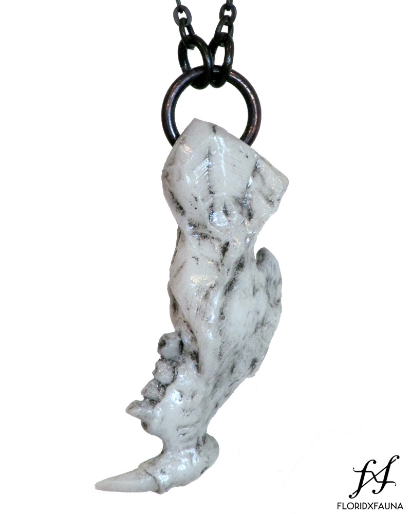 floridxfauna<br />RODENT JAWBONE FRAGMENT CRYSTAL PENDANT<br />$45.00