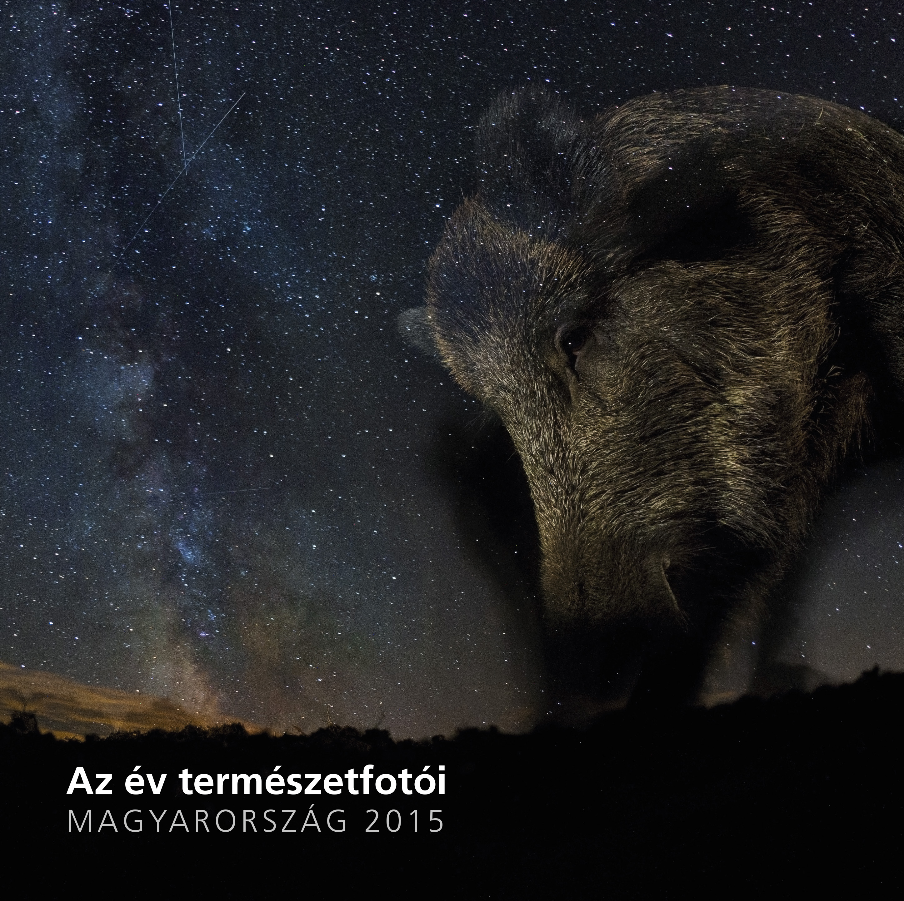 Kiállításajánló: Az Év Természetfotósa 2015 - jövőhéten nyílik!
