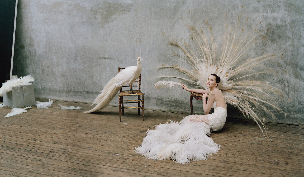 Jennifer and the peacock<br />Photograph by Tim Walker; styled by Jacob K; W magazine October 2012.