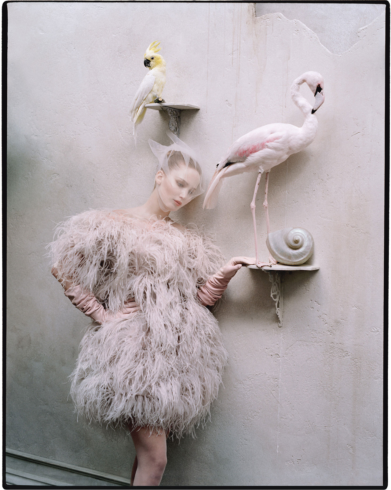Birds of a feather Photograph by Tim Walker; styled by Jacob K; W magazine October 2012.
