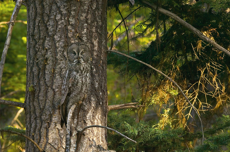 Fotó: Art Wolfe