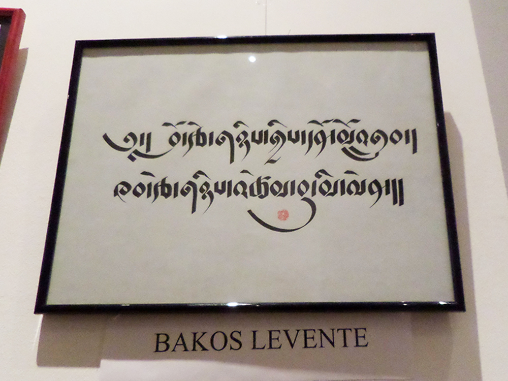 Bakos Levente