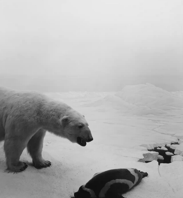 Hiroshi Sugimoto, Hiroshi Sugimoto : Dioramas