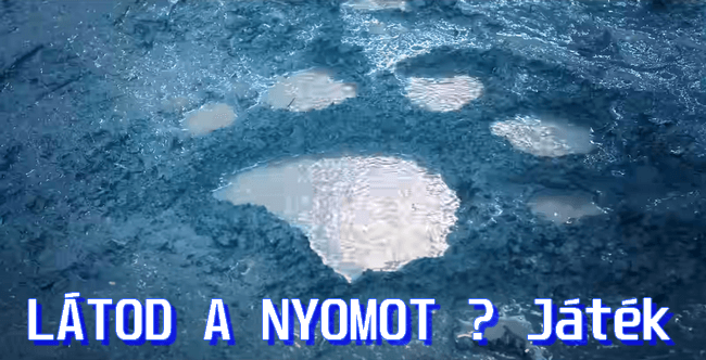 nyomjatek.png