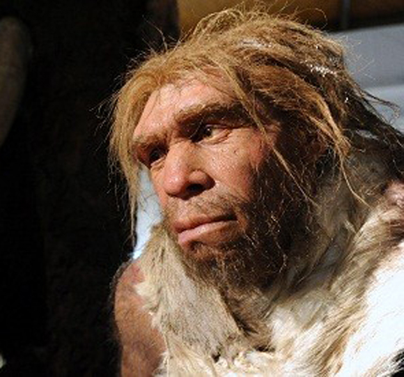 neandervolgyi.jpg