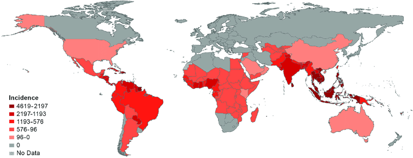 global-dengue-incidence-per-100-000-person-years-in-2013-adapted-from-stanaway-et-al.png