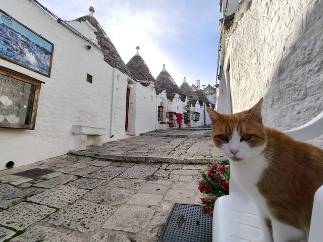 Short Trip Bariban - 2. rész - Puglia csodái