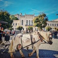 Short Trip Karlovy Varyban - Apró város, tele egyedi jelképekkel