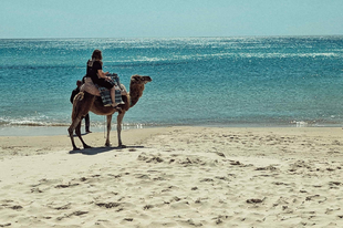 Tunézia egy hét alatt: tengerpart Hammametben, látnivalók Tunisban