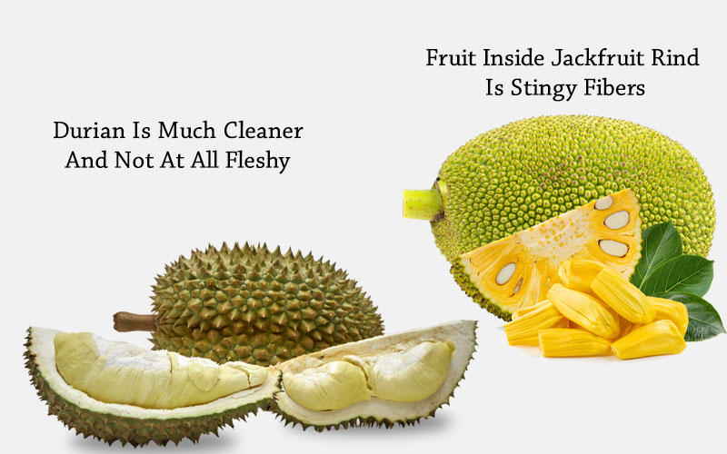 jackfruit-vs-durian-texture-sticky-and-messy-once-opened.jpg
