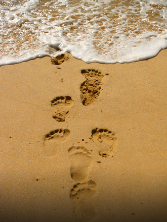 footsteps-in-the-sand-1361409.jpg