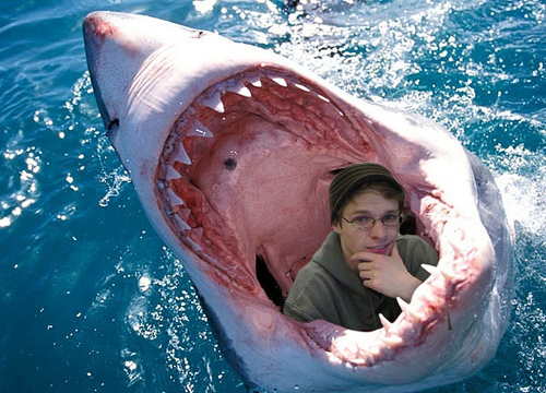 Shark-Attack!.jpg