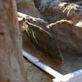 Honfoglalás kori tarsolylemezes sír került elő Pest megyében