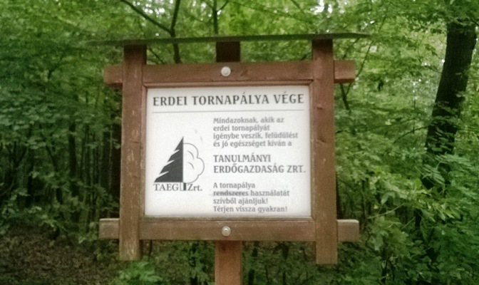 erdei_tornapalya.jpg