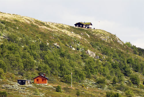 Ho-Hardanger-001.jpg