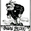 A Pannon Bulldog története