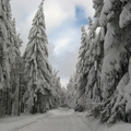 14.02.2010, Auf dem Hohen Inselsberg