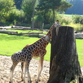 19.09.2009, Zoo Leipzig und Auensee