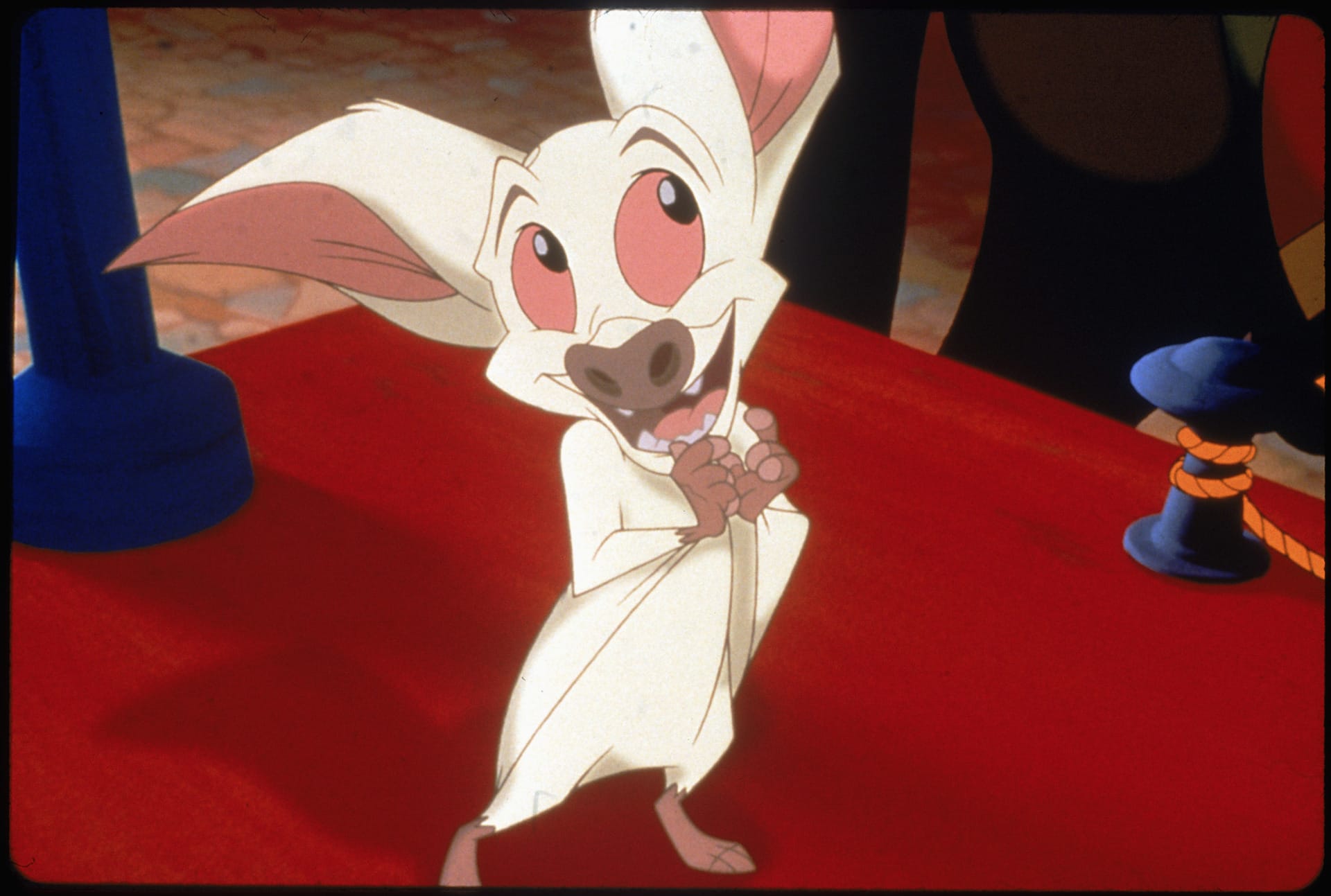 Kicsi a denevér, de bátor – Bartek, a varázslatos