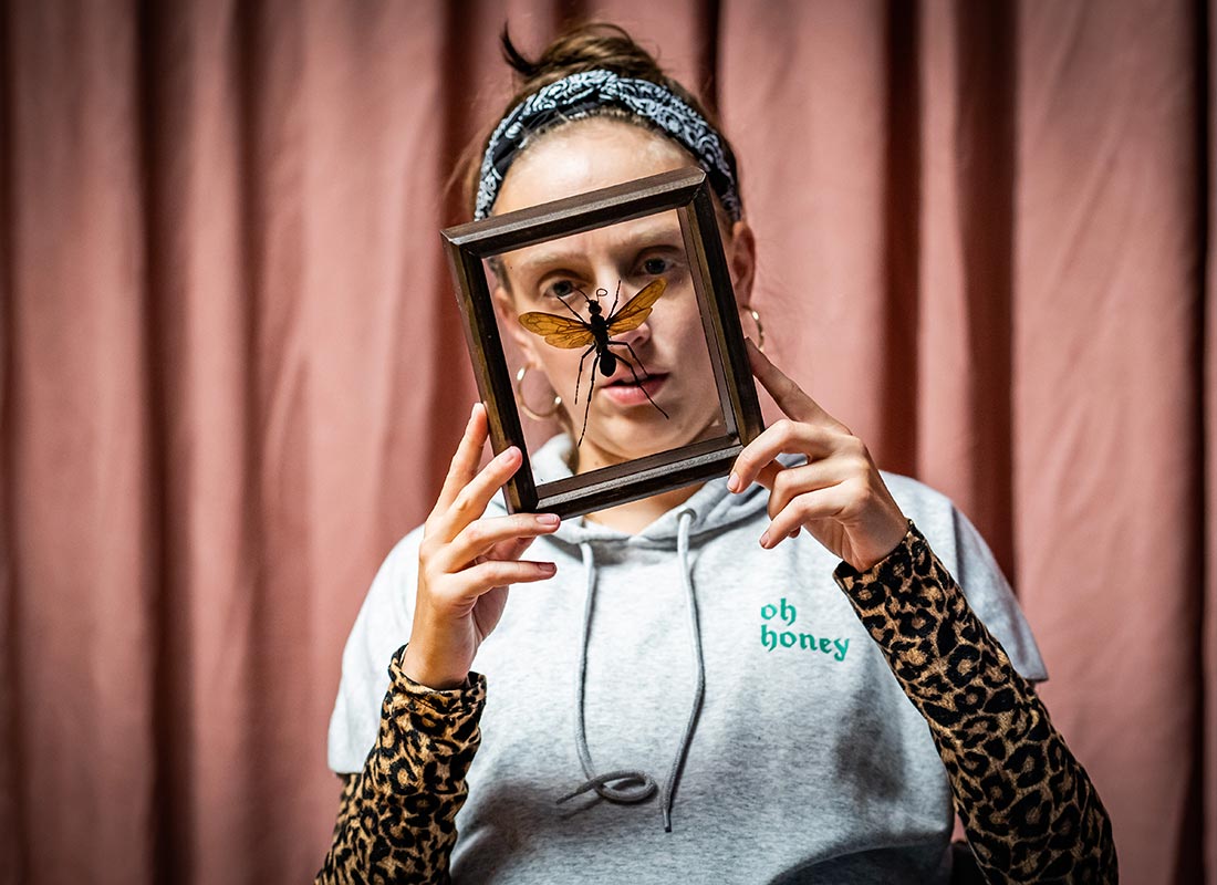 Az erőszak kegyetlenséget szül – Darázs