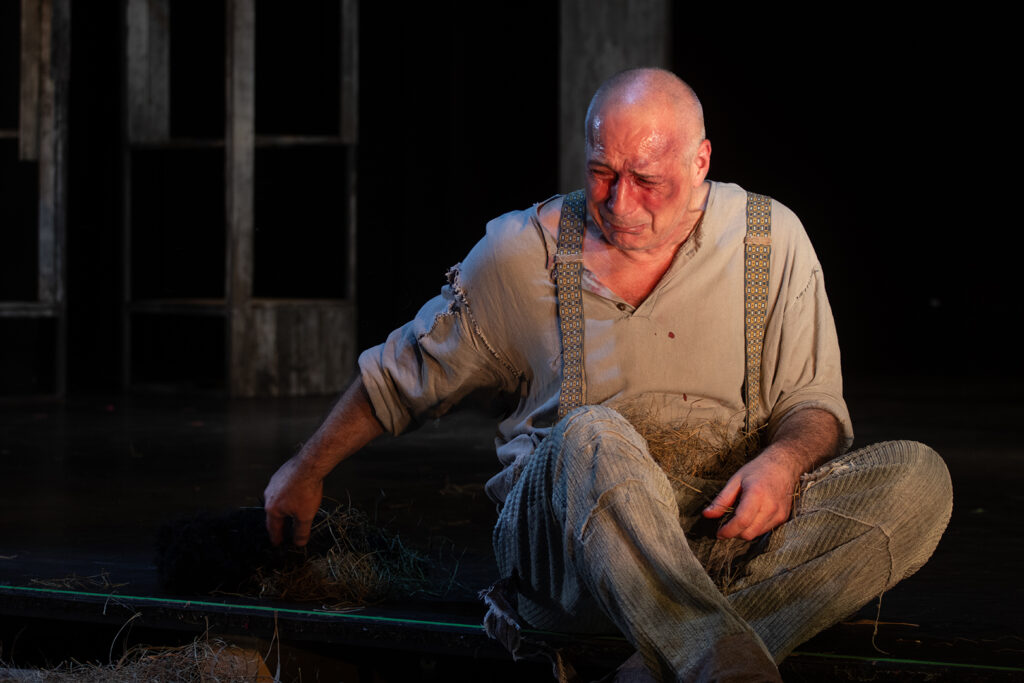 Kapcsolatok és összetartás a válság idején – Egerek és emberek