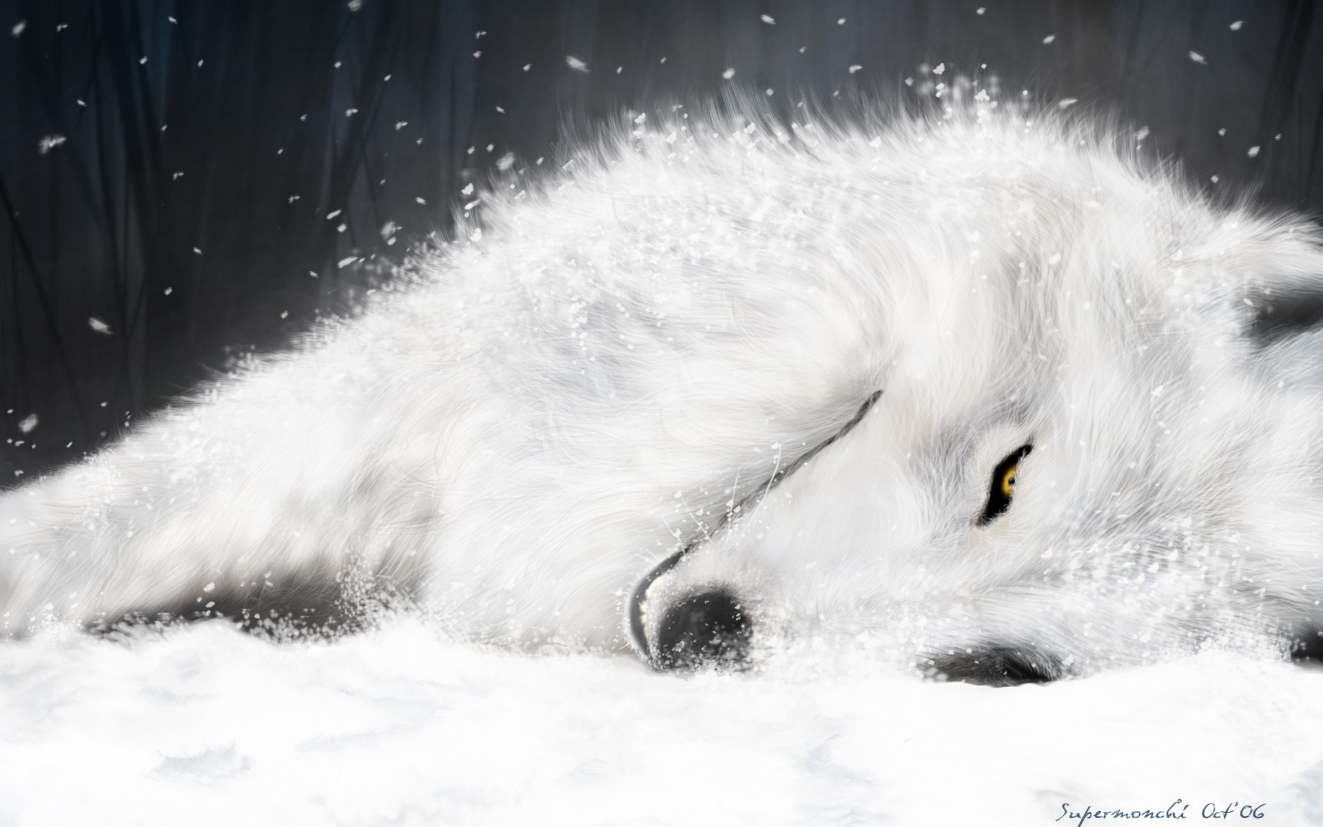 kiba_wolf_s_rain_full_51151.jpg