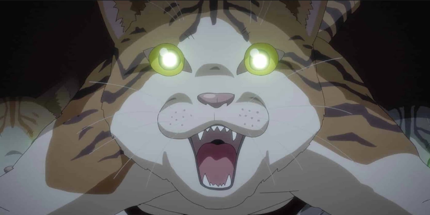 Macskapokalipszis MOST!