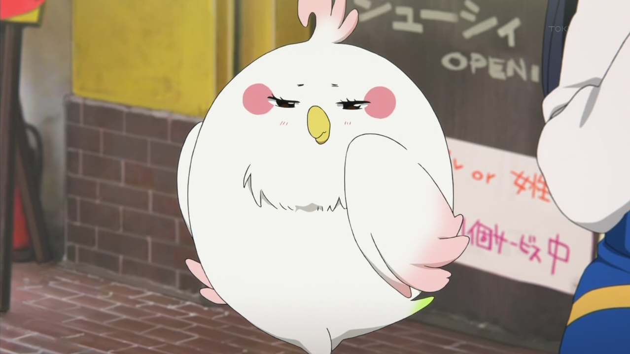 tamako-market-bird.png