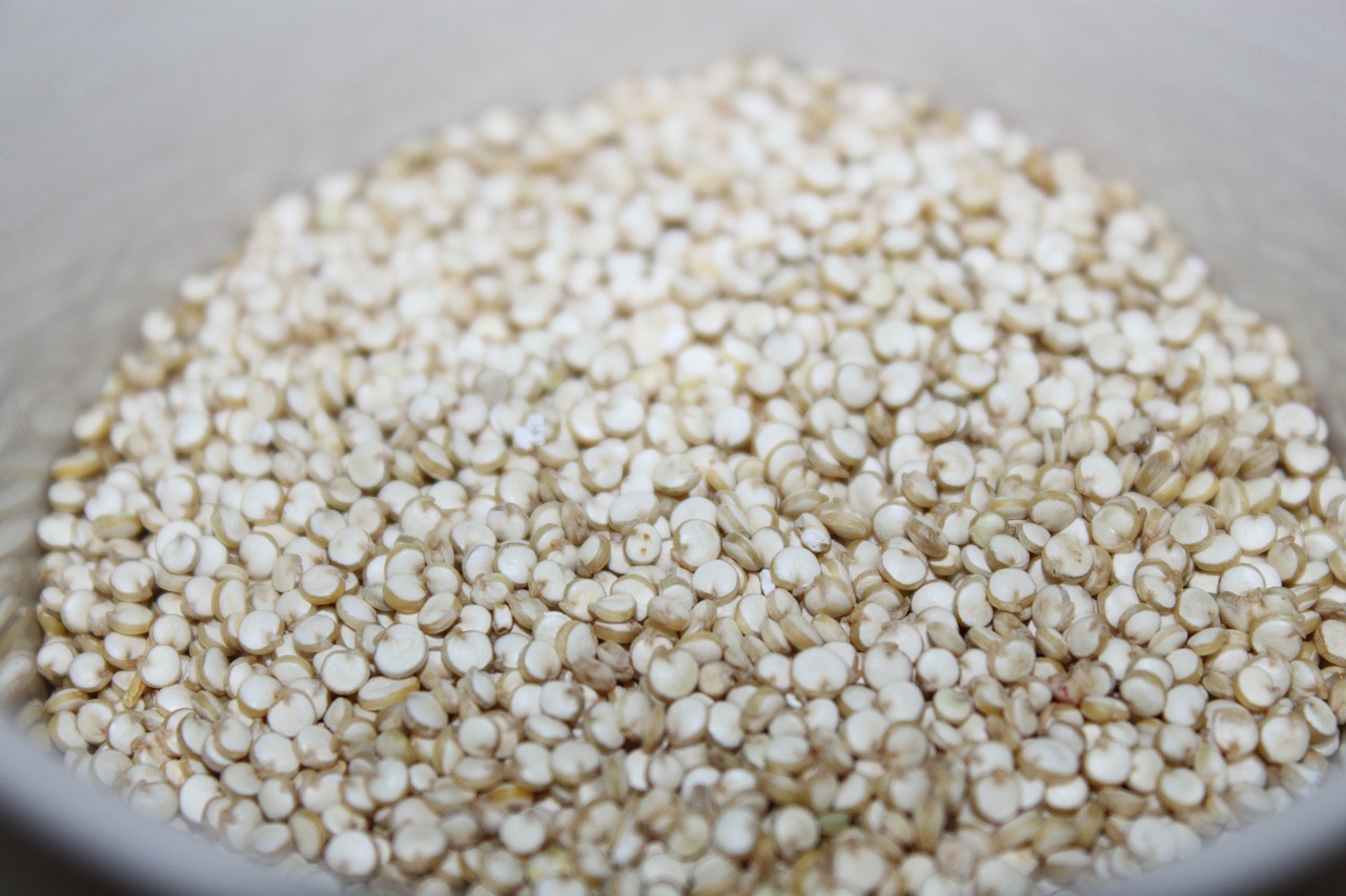 quinoa-497210_1280.jpg