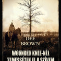Könyvkritika: Dee Brown: Wounded Knee-nél temessétek el a szívem (2022)