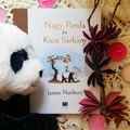 Könyvkritika: James Norbury: Nagy Panda és Kicsi Sárkány (2021)
