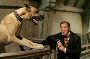 Doctor Doolittle (1967)