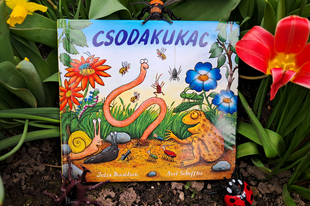 Könyvajánló: Julia Donaldson: Csodakukac (2024)