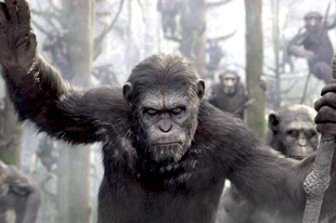 A majmok bolygója - Forradalom / Dawn of the Planet of the Apes (2014)