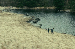 Párkapcsolat vezényszóra - A The Lobster értelmezései