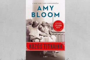Könyvkritika: Amy Bloom: Közös titkaink (2019)