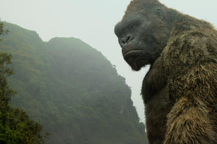 Kong: Koponya-sziget / Kong: Skull Island (2017)